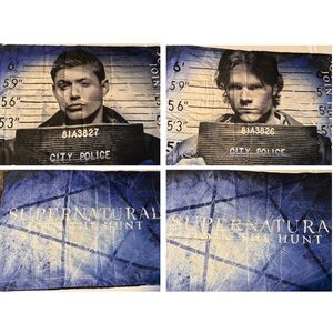 Sam & Dean Pillow Cases